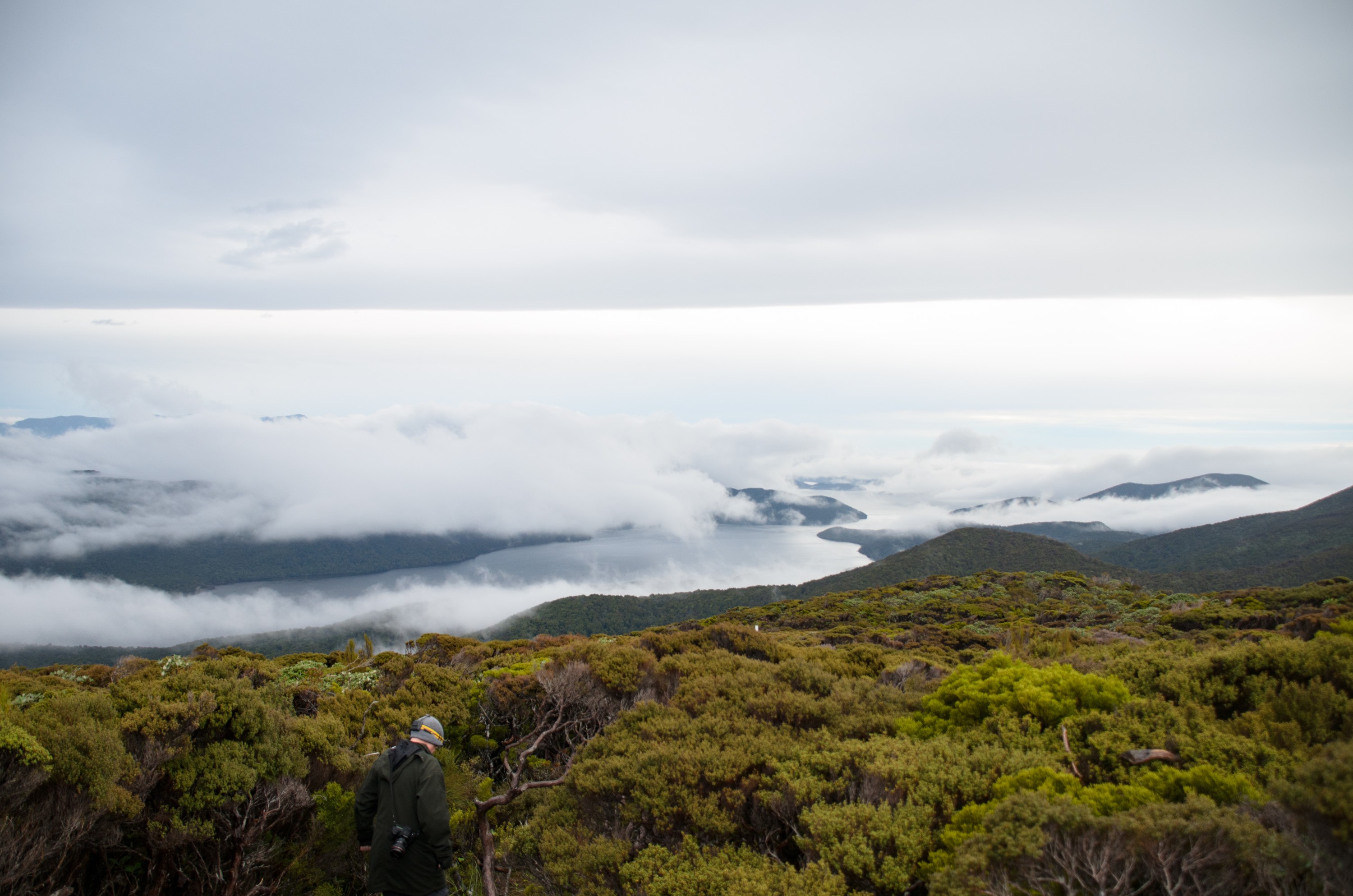 DSC_2773 – Adventure, Crispin, Island, March 2017, National Park, New, New Zealand, Rakiura, South, Stewart, Zealand